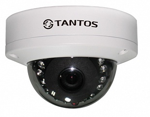 TSi-Dle23FP (2.8) IP видеокамера купольная компактная антивандальная уличная двухмегапиксельная