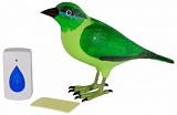 Звонок птичка, Беспроводной дверной звонок в виде зеленой птички. Питание кнопки 1 батарея ААА